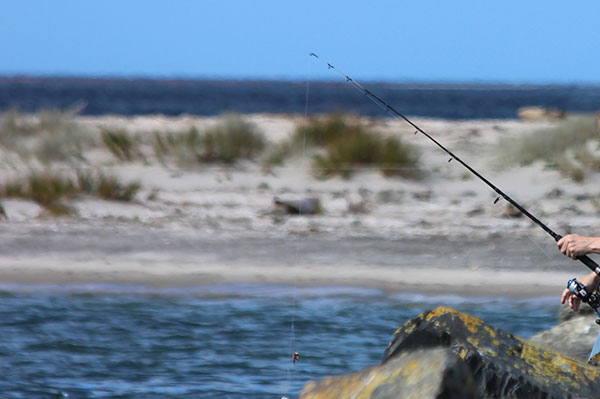 Fishing at the Waipu River mouth